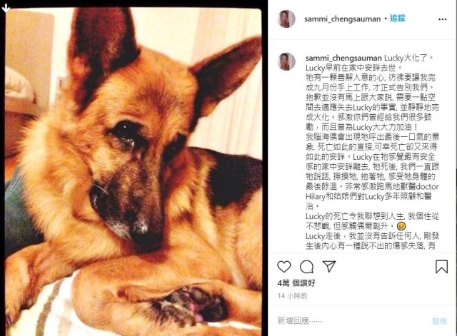 郑秀文爱犬Lucky离世，她在狗狗晚年做的事，很多人都做不到